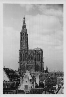 67 STRASBOURG LA CATHEDRALE - Strasbourg