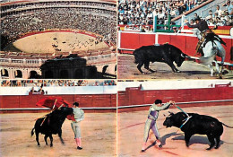 Corrida - Multivues - Carte Neuve - CPM - Voir Scans Recto-Verso - Corrida