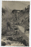 X125229 ANDORRA ANDORRE LA MASSANA MAS DE RIBAFETA ( CAMI D' ARINSAL ) - Andorra