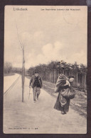 DDJJ 133 - Carte-Vue LINKEBEEK Les Sapinières - Editeur Nels Bruxelles - Circulée En 1907 - Linkebeek