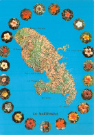 972-MARTINIQUE-N°4295-C/0181 - Other & Unclassified