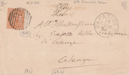 Papasidero (Cosenza) Numerale A Sbarre Del 1883 + Lineare Poco Chiaro Di S.ta Domenica Talao - Marcophilia