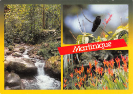 972-MARTINIQUE LE COLIBRI-N°C-4304-D/0311 - Other & Unclassified