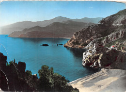 20-CORSE PORTO -N°C-4304-C/0103 - Other & Unclassified