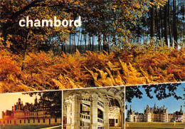 41-CHAMBORD-N°C-4309-B/0151 - Chambord