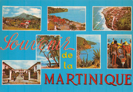 972-MARTINIQUE SCENES ET PAYSAGES-N°C-4309-B/0029 - Other & Unclassified