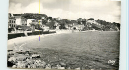29-TREBOUL-N°T310-A/0109 - Tréboul