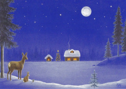 Deer - Hare - Mouse In Winter Landscape At Moon Light - Unicef - Switzerland - Eva Melhuish - Double Folded Card - Altri & Non Classificati