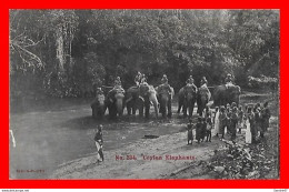 CPA COLOMBO (Sri Lanka - Ceylon)  Baignade Pour Les éléphants, Animé..*10874 - Sri Lanka (Ceylon)