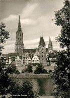 Ulm Donau - Ulm