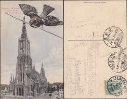 DR Ansichtkarte, Ulmer Münster, Höchste Kirche Der Welt 161m, ULM 30.9.1908 - Budapest. - Ulm