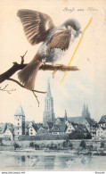 Gruß Aus Ulm - Ansicht Mit "Spatz" Gel.1910 AKS - Ulm