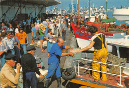 Le Guilvinec-Lechiagat – Le Déchargement Des Langoustines – Carte Taillée - Guilvinec