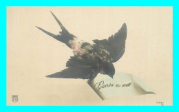 A807 / 209 OISEAU - Uccelli