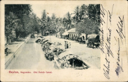 CPA Negombo Sri Lanka, Altholländischer Kanal - Sri Lanka (Ceylon)