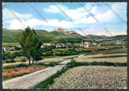 Trento Cavareno STRAPPINI Foto FG Cartolina ZF2284 - Trento