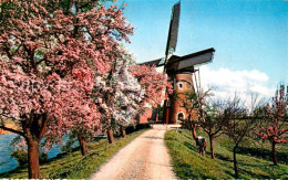 Beesd Stenen Grondmolen - Other & Unclassified