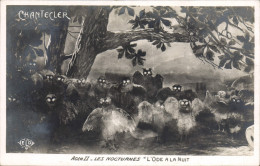 CPA Theatre Edmond Rostand Chantecler Les Nocturnes L'ode A La Nuit Chouette Hibou - Teatro