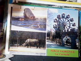 Bergamo Valbrembo Parco Faunistico "Le Cornelle" IPPOPOTAMO  RINOCERONTE    N1980 KL8547 - Bergamo