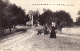 CPA Cayeux Sur Mer Une Allee Du Bois De Brighton - Cayeux Sur Mer