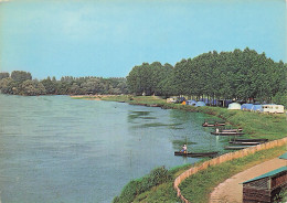 49 CHALONNES SUR LOIRE LA LOIRE LE CAMPING ET LA PLAGE - Chalonnes Sur Loire