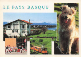 64 HENDAYE PLAGE - Hendaye