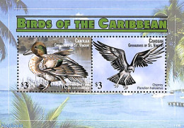 Saint Vincent & The Grenadines 2011 Canouan, Birds Of The Caribbean 2v M/s, Mint NH, Nature - Birds - Ducks - St.Vincent Y Las Granadinas