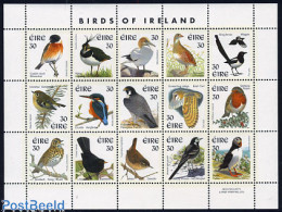 Ireland 1999 Birds M/s, Mint NH, Nature - Birds - Owls - Kingfishers - Puffins - Woodpeckers - Ongebruikt