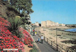 JERSEY HAVRE DES PAS PLAGE - Otros & Sin Clasificación