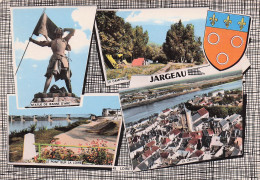 45 JARGEAU STATUE DE JEANNE D ARC - Jargeau