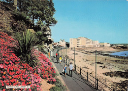 JERSEY HAVRE DES PAS PLAGE - Otros & Sin Clasificación