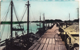 Tin-  80 Somme Cpsm  CAYEUX / MER  481 - Cayeux Sur Mer