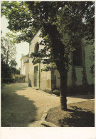 78 SAINT GERMAIN EN LAYE MUSEE DEPARTEMENTAL - St. Germain En Laye (Castillo)