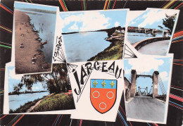 45 JARGEAU PONT SUSPENDU - Jargeau