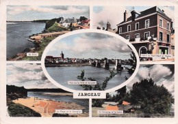 45 JARGEAU LA LOIRE - Jargeau