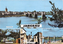 45 JARGEAU VUE GENERALE - Jargeau
