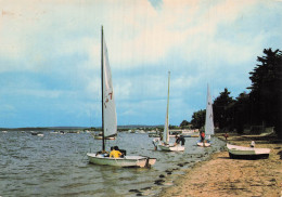 33 ARES LA PLAGE - Arès