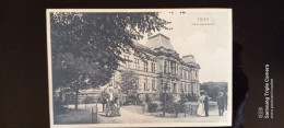 Delcampe - Trier. Provinzial Museum UNC 1908 - Trier