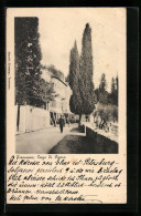 Cartolina Tremezzo, Lago Di Como, Strassenpartie - Como