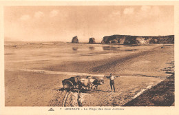 64-HENDAYE-N°T328-C/0269 - Hendaye