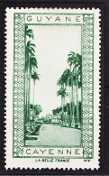 12956 / (•◡•) ● CAYENNE GUYANE Vignette De Collection LA BELLE FRANCE 1925s H-V Helio VAUGIRARD PARIS Erinnophilie - Toerisme (Vignetten)