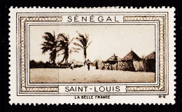 12952 / (•◡•) ● SAINT-LOUIS (2) St SENEGAL Vignette De Collection LA BELLE FRANCE 1925s H-V Erinnophilie - Toerisme (Vignetten)