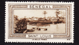 12957 / (•◡•) ● SAINT-LOUIS (1) St SENEGAL Vignette De Collection LA BELLE FRANCE 1925s H-V Erinnophilie - Toerisme (Vignetten)