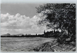50436027 - Radolfzell Am Bodensee - Radolfzell