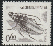 THEMATIC FAUNA:  INSECTS.  BEETLE    -   SOUTH KOREA - Coleotteri