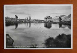 Cartolina Rifugio Pradalago M. 2082 - Madonna Di Campiglio - 1952 - Trento