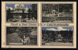 AK Bad Elster I. S., Café Waldquelle, Natur-Theater, Reh An Der Waldquelle - Teatro