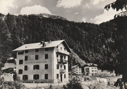 MADONNA DI CAMPIGLIO PENSIONE AL RODODENDRO ANNO 1965 VIAGGIATA - Trento