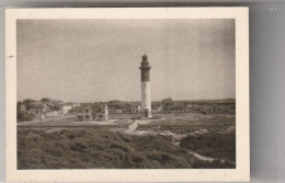 CAYEUX   Le Phare  Photo 12,50 X 9  De 1964 - Cayeux Sur Mer
