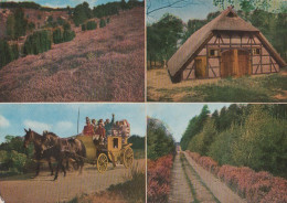 Y28654 - Lüneburger Heide - U.a. Schafstall - Ca. 1975 - Lüneburger Heide